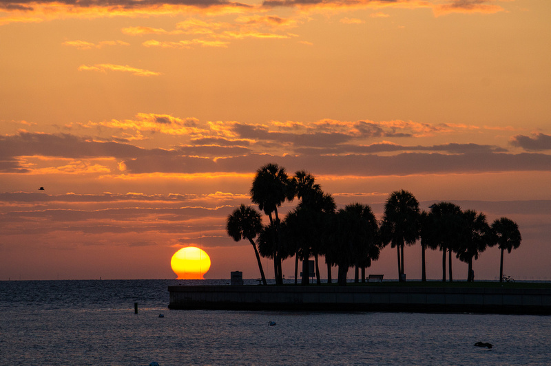 Sunrise Tampa Bay